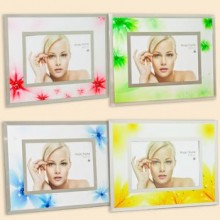 Pioneer 2011JSG/70/71/72/73 10x15