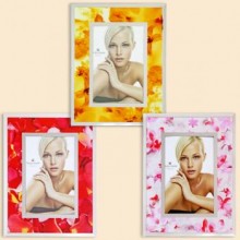 Pioneer 2011jsg/80/81/82 10x15