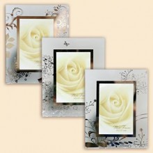 Pioneer ML174-WP51 10x15