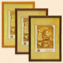 Pioneer Нора 21x30